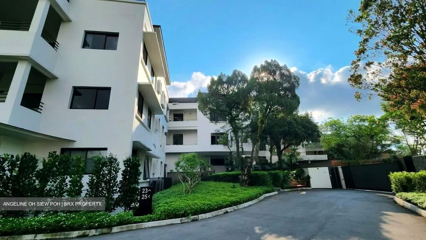 Holland Rise (D10), Apartment #540890331